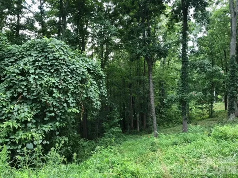 45 Sweet Fern Parkway Asheville NC 28804