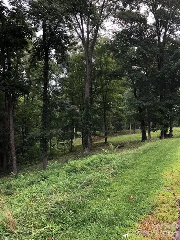 45 Sweet Fern Parkway Asheville NC 28804