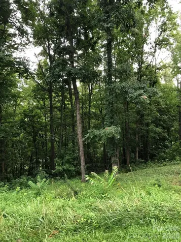 45 Sweet Fern Parkway Asheville NC 28804
