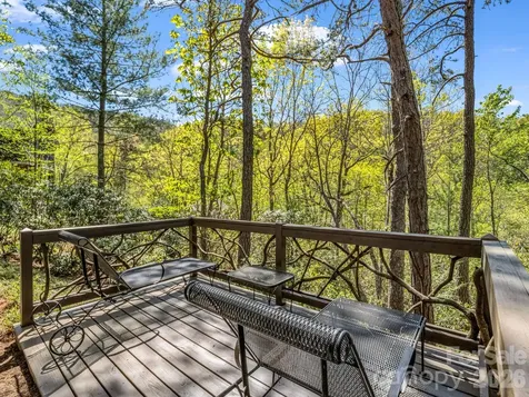 16 Panther Gap Road Black Mountain NC 28711
