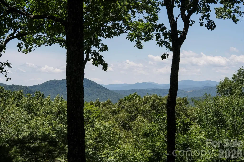 287 Dvdisdi Court Brevard NC 28712