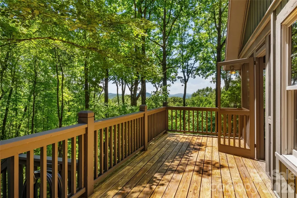 287 Dvdisdi Court Brevard NC 28712