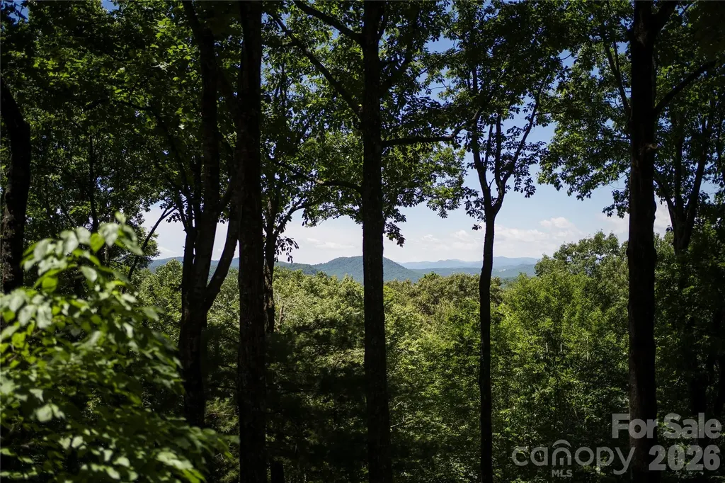 287 Dvdisdi Court Brevard NC 28712