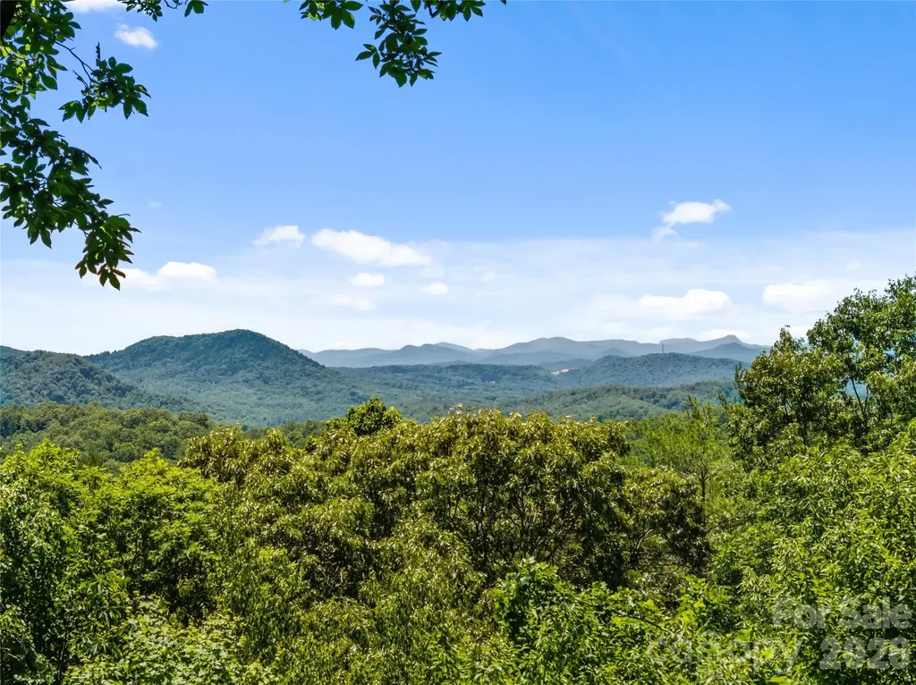 287 Dvdisdi Court Brevard NC 28712