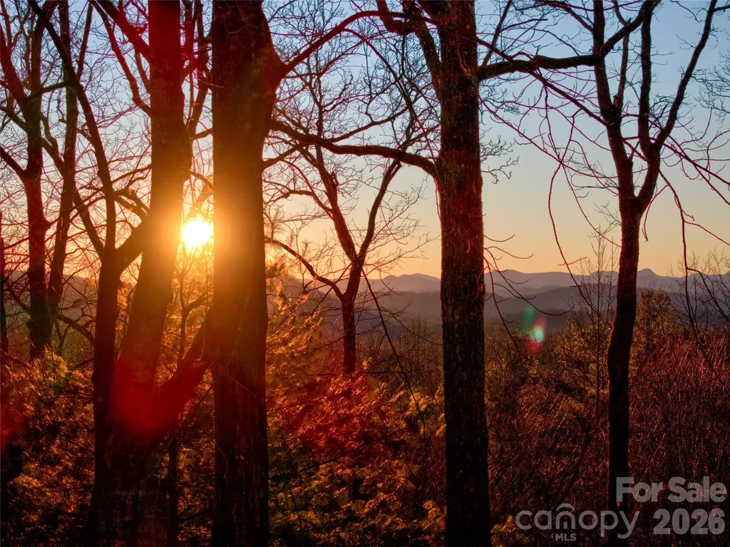 287 Dvdisdi Court Brevard NC 28712