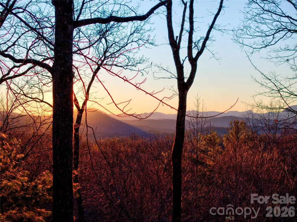 287 Dvdisdi Court Brevard NC 28712