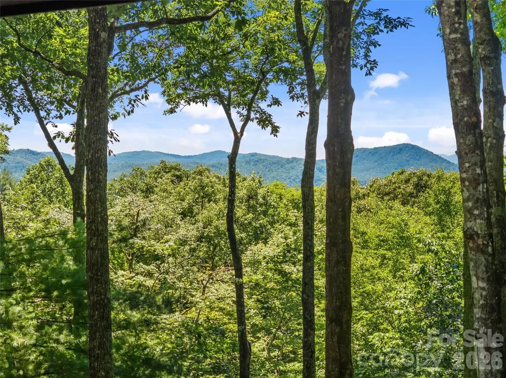 287 Dvdisdi Court Brevard NC 28712