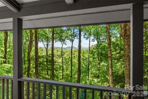 287 Dvdisdi Court Brevard NC 28712