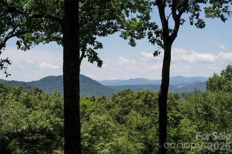 287 Dvdisdi Court Brevard NC 28712