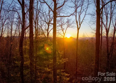 287 Dvdisdi Court Brevard NC 28712