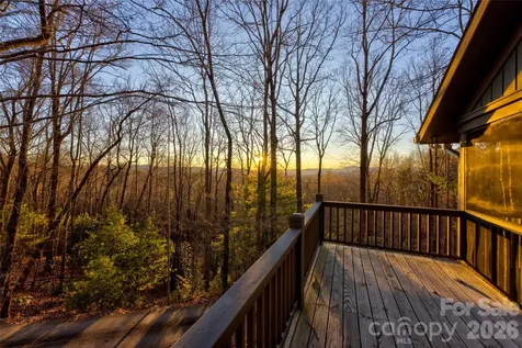 287 Dvdisdi Court Brevard NC 28712