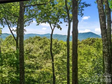 287 Dvdisdi Court Brevard NC 28712