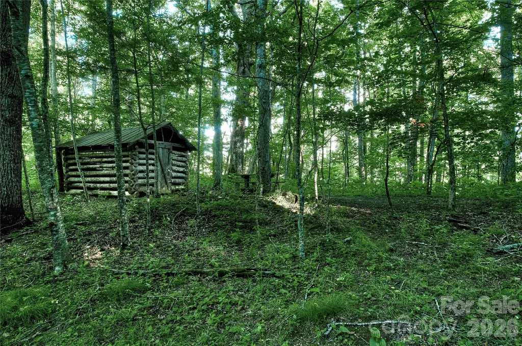 65 Blue Ridge Gem Mine Road Little Switzerland NC 28777