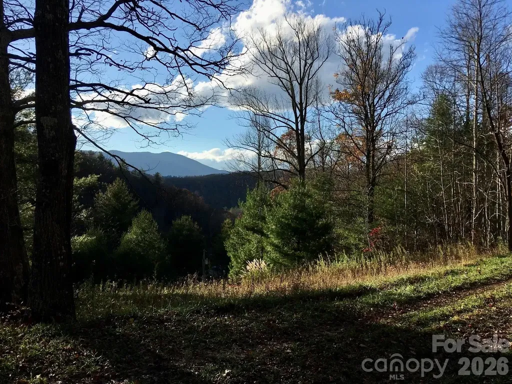 65 Blue Ridge Gem Mine Road Little Switzerland NC 28777