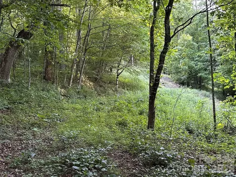 65 Blue Ridge Gem Mine Road Little Switzerland NC 28777