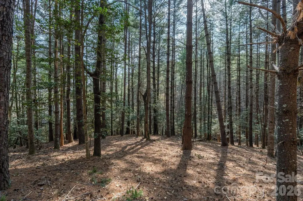 40 Turtle Head Drive Nebo NC 28761