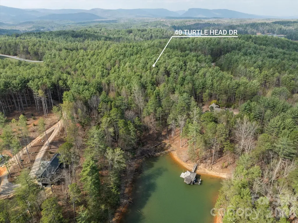 40 Turtle Head Drive Nebo NC 28761