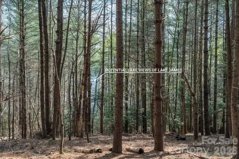 40 Turtle Head Drive Nebo NC 28761