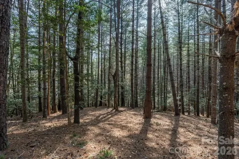 40 Turtle Head Drive Nebo NC 28761