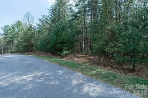 40 Turtle Head Drive Nebo NC 28761