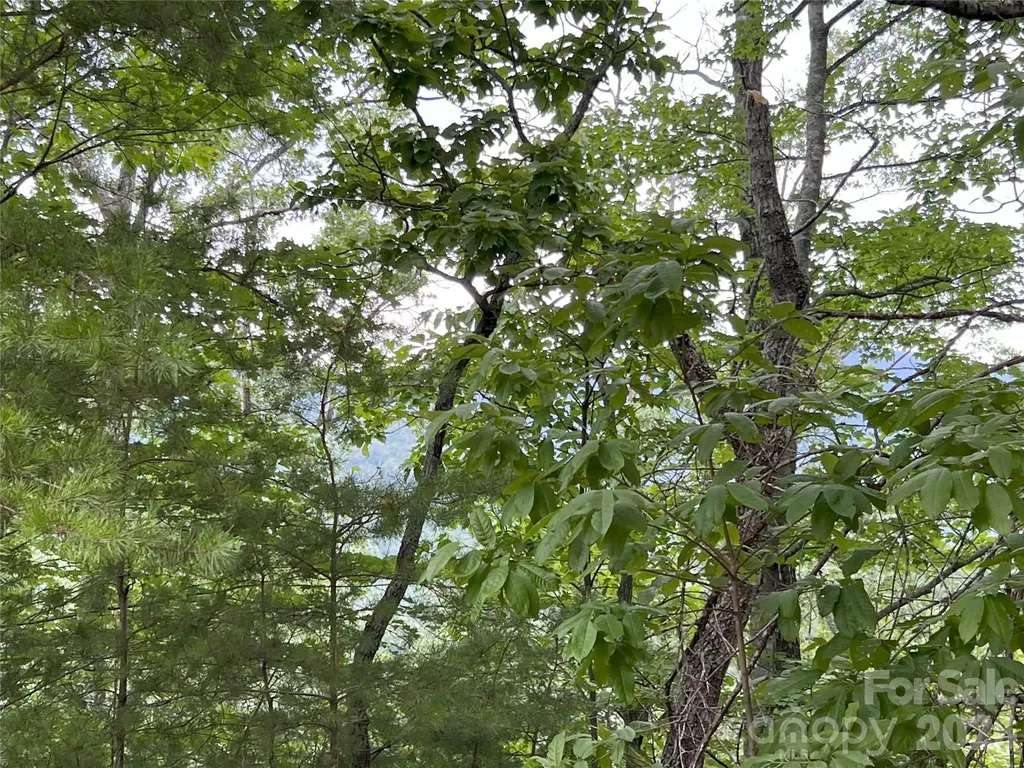 0 Stratford Drive Mill Spring NC 28756
