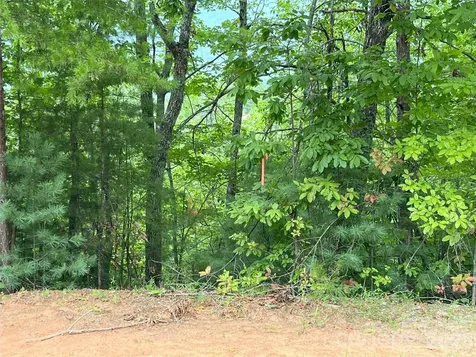 0 Stratford Drive Mill Spring NC 28756