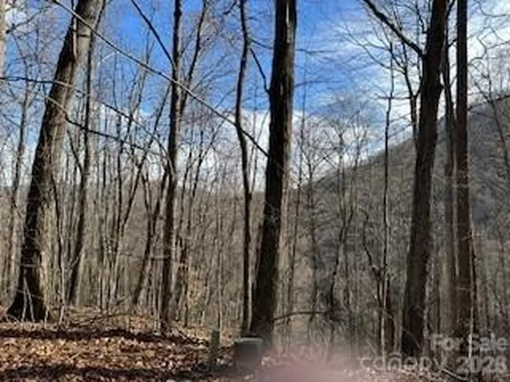 19 Blairstone Lane Maggie Valley NC 28751