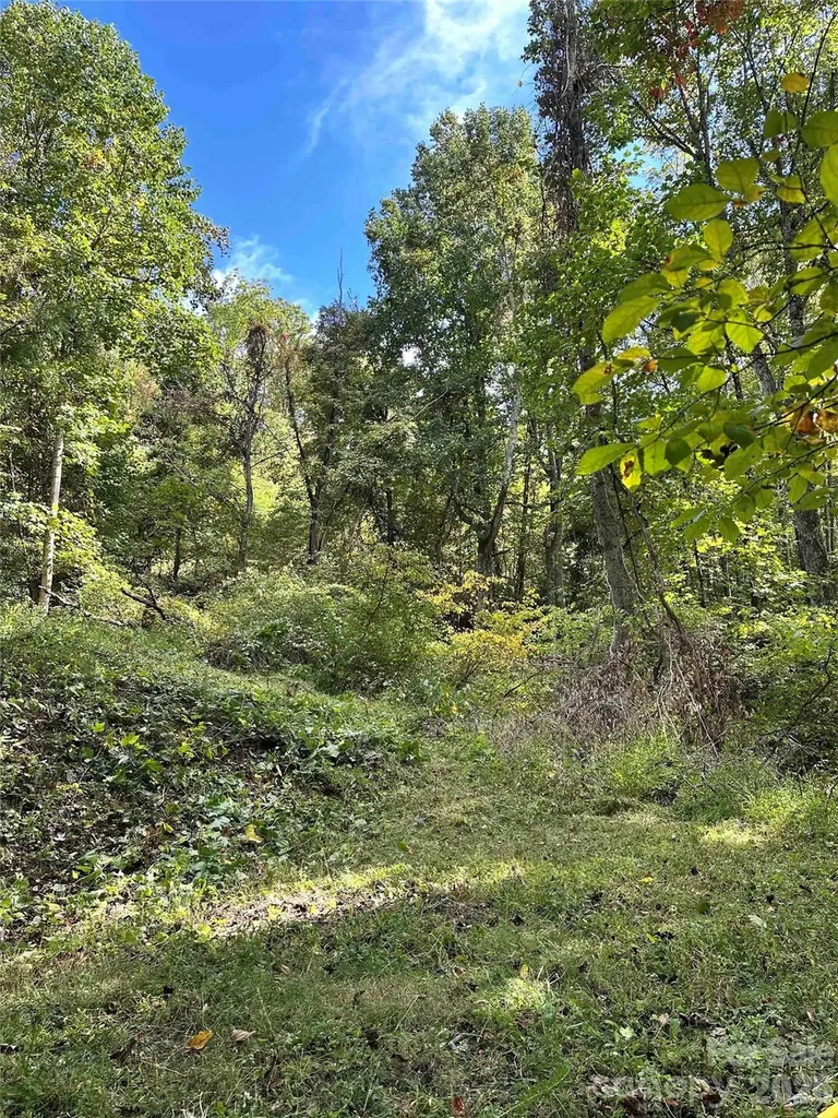 94 Locust Grove Lane Weaverville NC 28787
