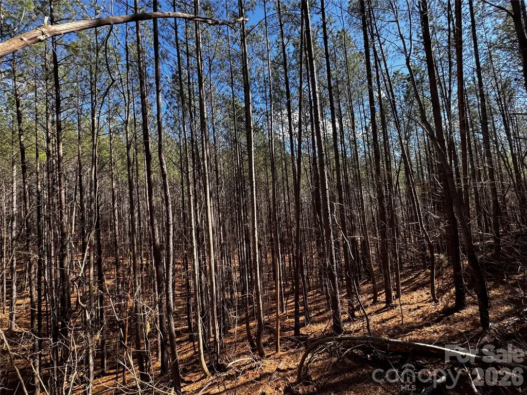 Lt 5 Geebees Way Mill Spring NC 28756