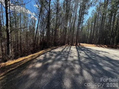 Lt 5 Geebees Way Mill Spring NC 28756