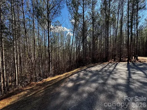 Lt 5 Geebees Way Mill Spring NC 28756