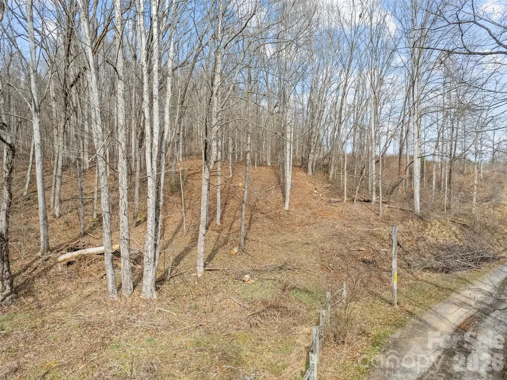 0 Barn View Lane Waynesville NC 28785