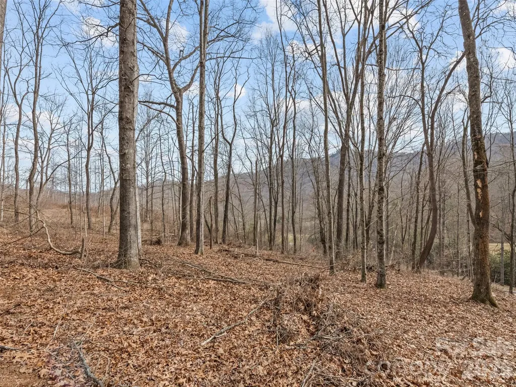 0 Barn View Lane Waynesville NC 28785
