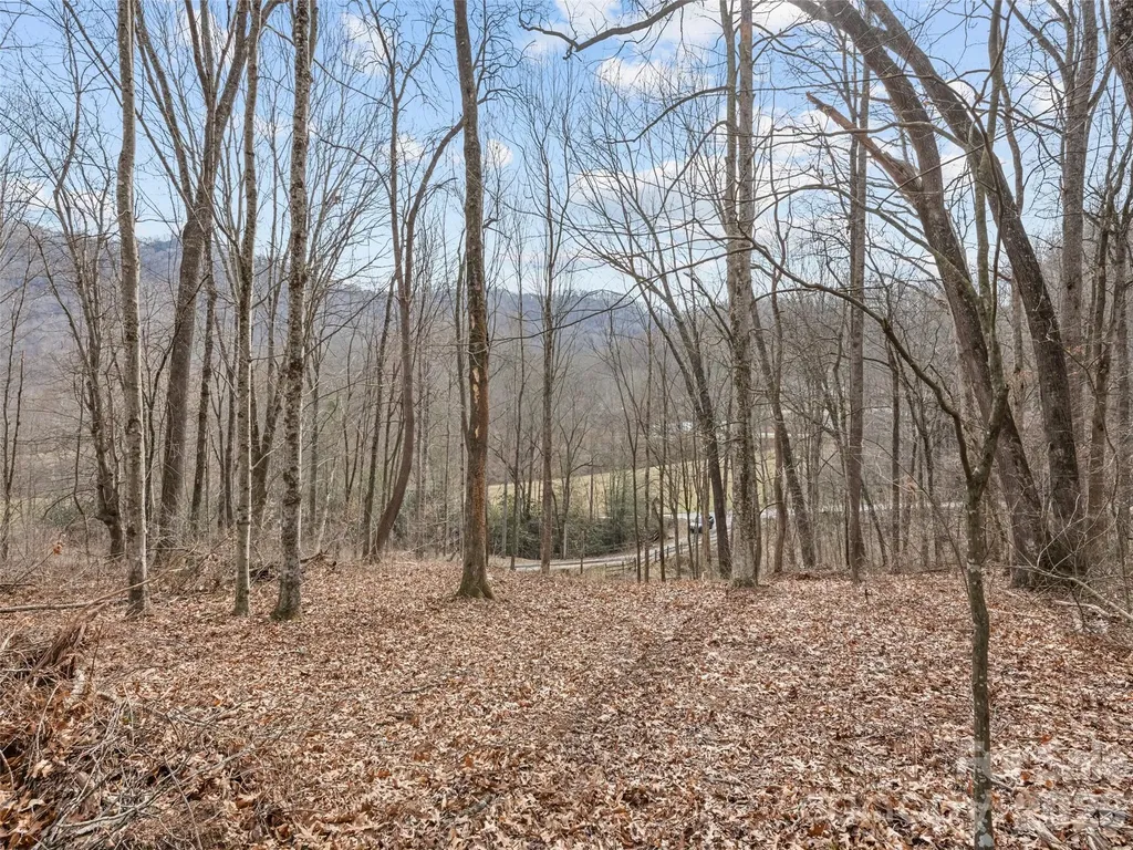0 Barn View Lane Waynesville NC 28785