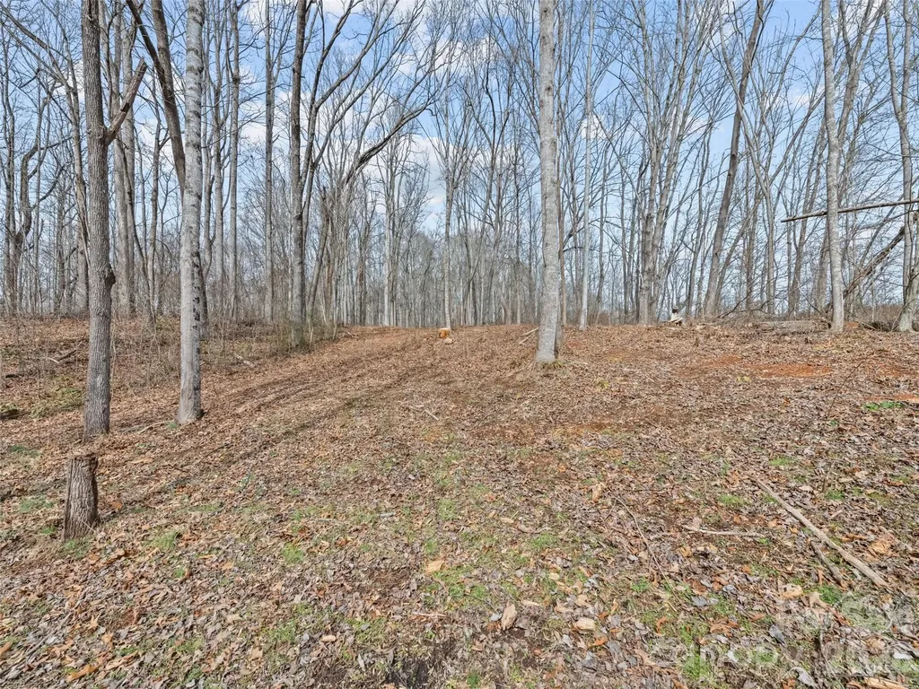 0 Barn View Lane Waynesville NC 28785