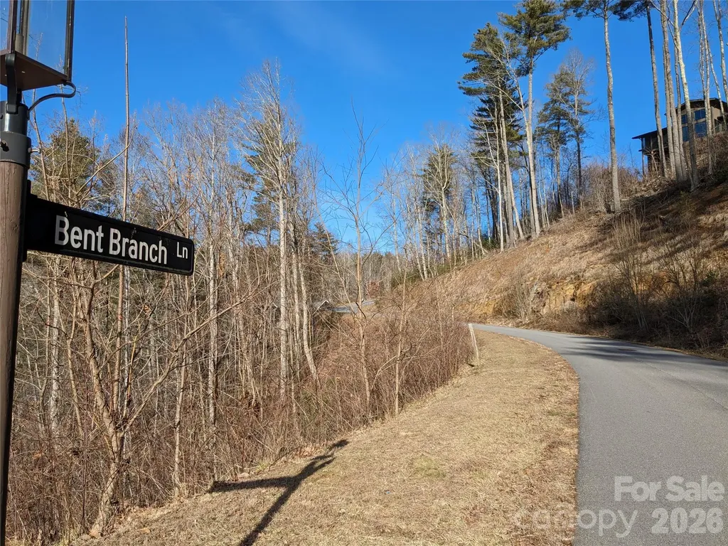 27 Bent Branch Lane Asheville NC 28804