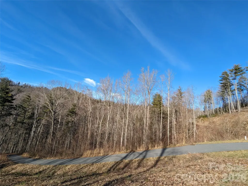 27 Bent Branch Lane Asheville NC 28804