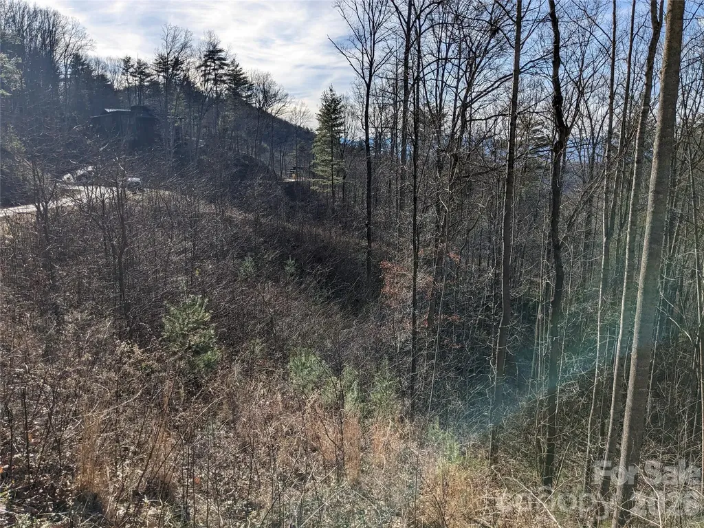 27 Bent Branch Lane Asheville NC 28804