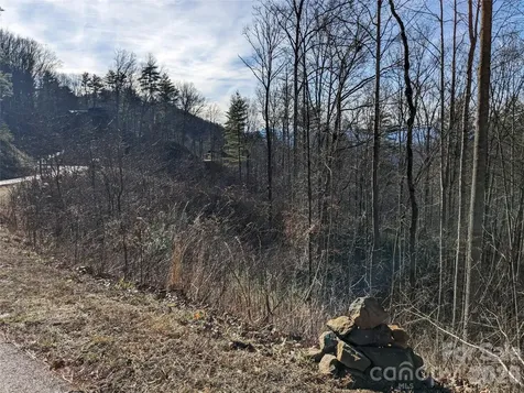 27 Bent Branch Lane Asheville NC 28804