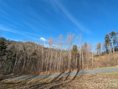 27 Bent Branch Lane Asheville NC 28804