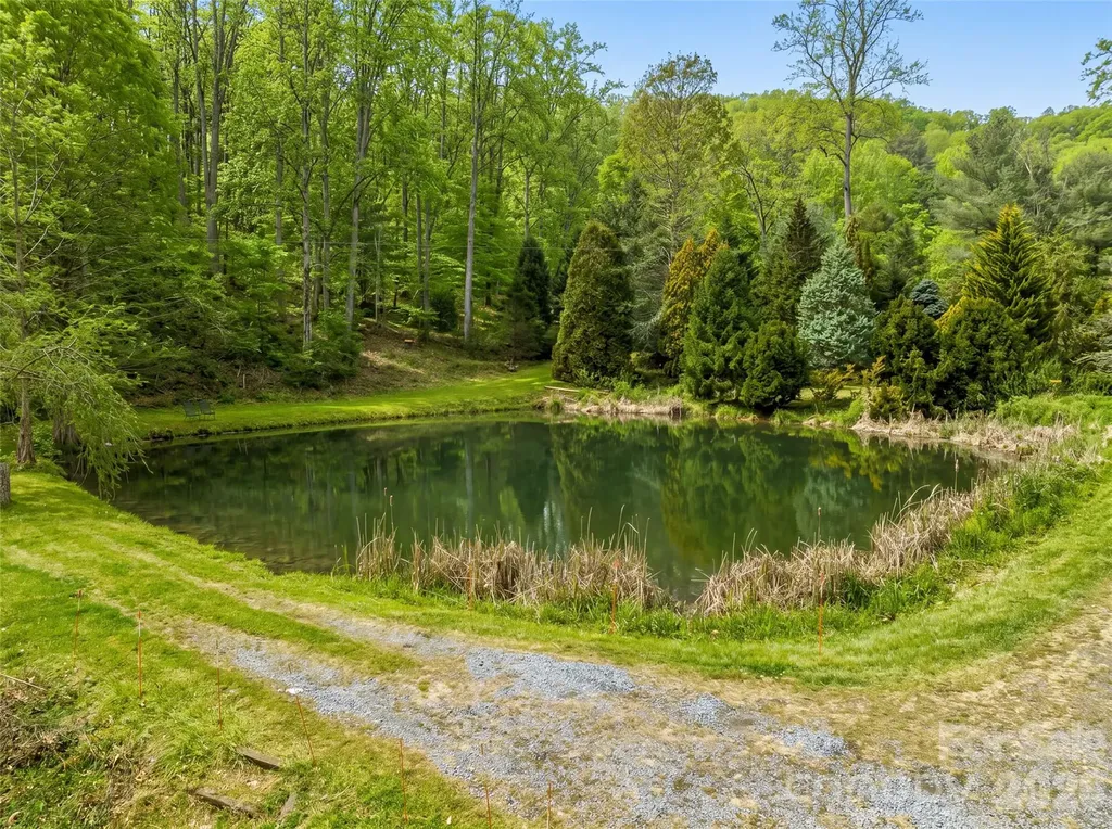 198 Brooks Branch Road Leicester NC 28748