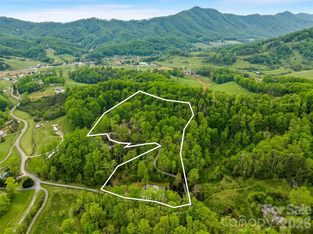 198 Brooks Branch Road Leicester NC 28748