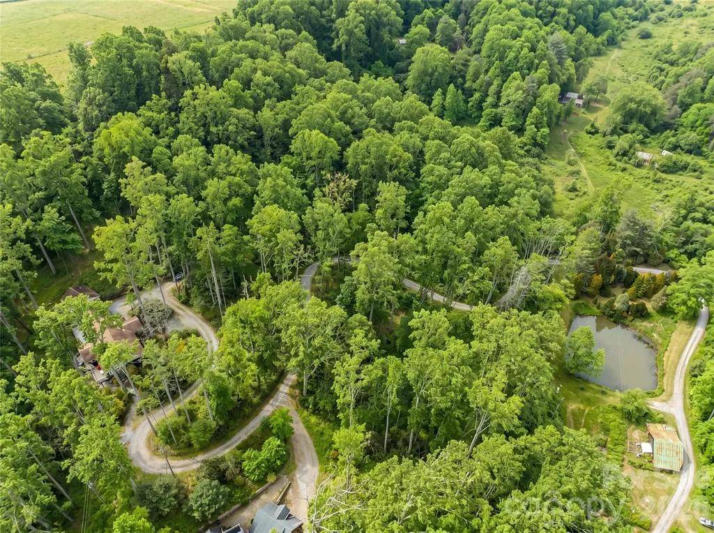 198 Brooks Branch Road Leicester NC 28748