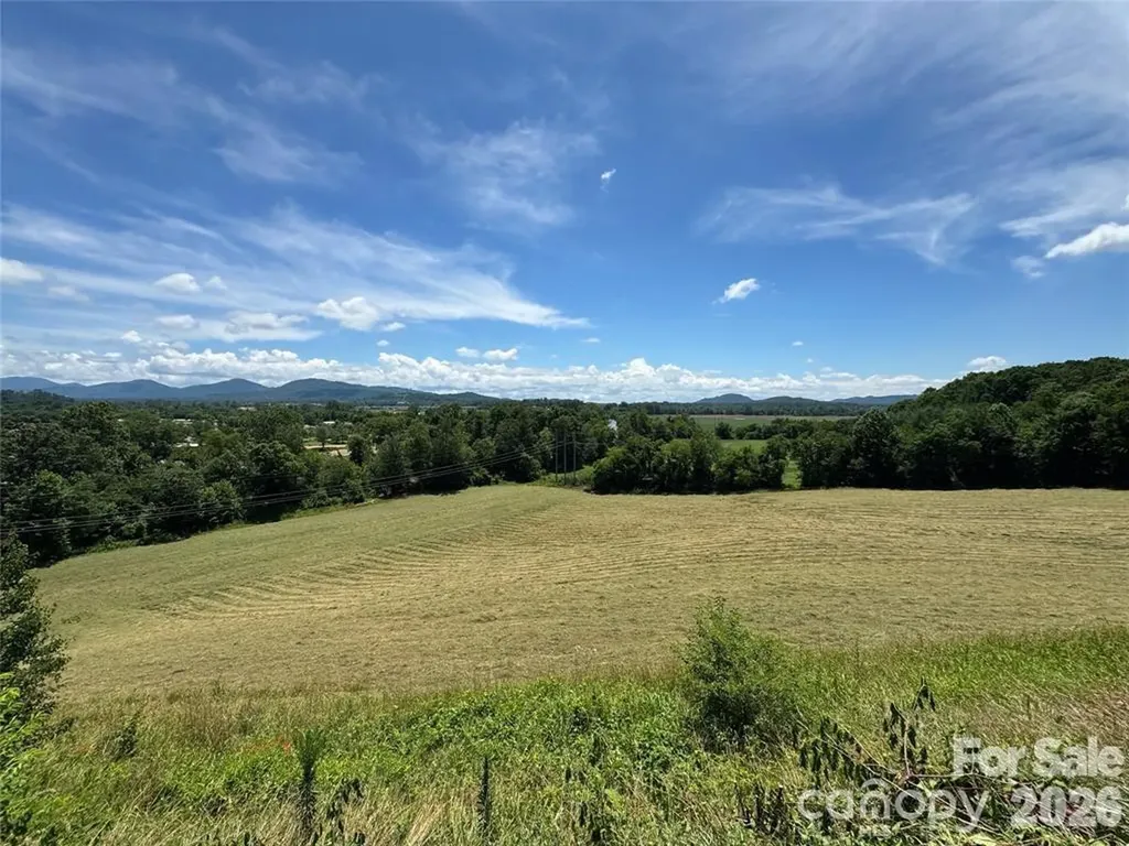 598 Miles View Road Mills River NC 28759