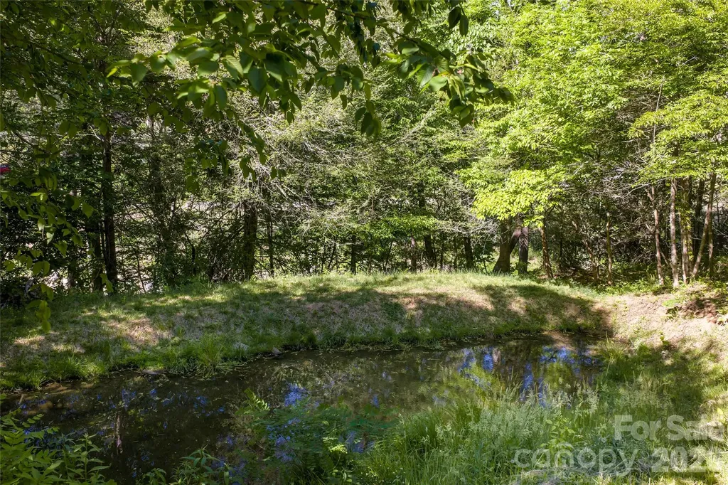 64 Hobson Branch Road Weaverville NC 28787
