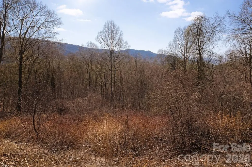 125 Lasso Lane Waynesville NC 28785