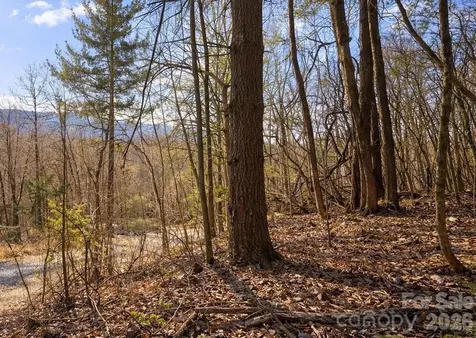 125 Lasso Lane Waynesville NC 28785