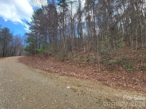125 Lasso Lane Waynesville NC 28785