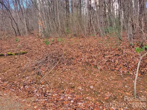 125 Lasso Lane Waynesville NC 28785
