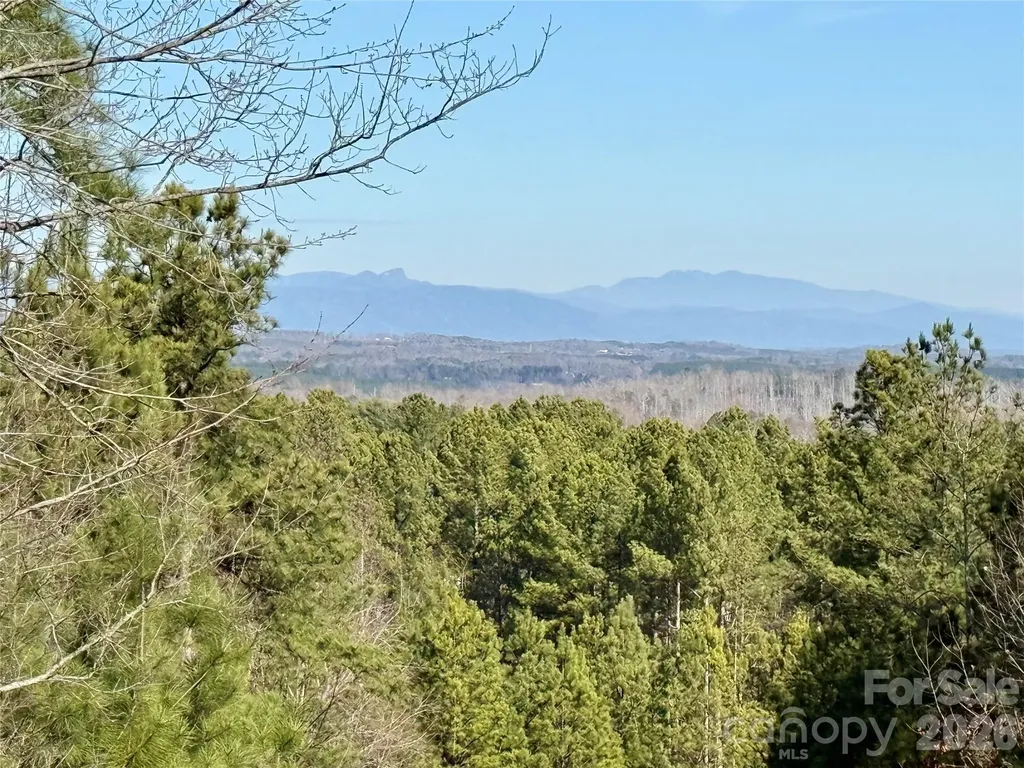 338 Grandview Peaks Drive Nebo NC 28761